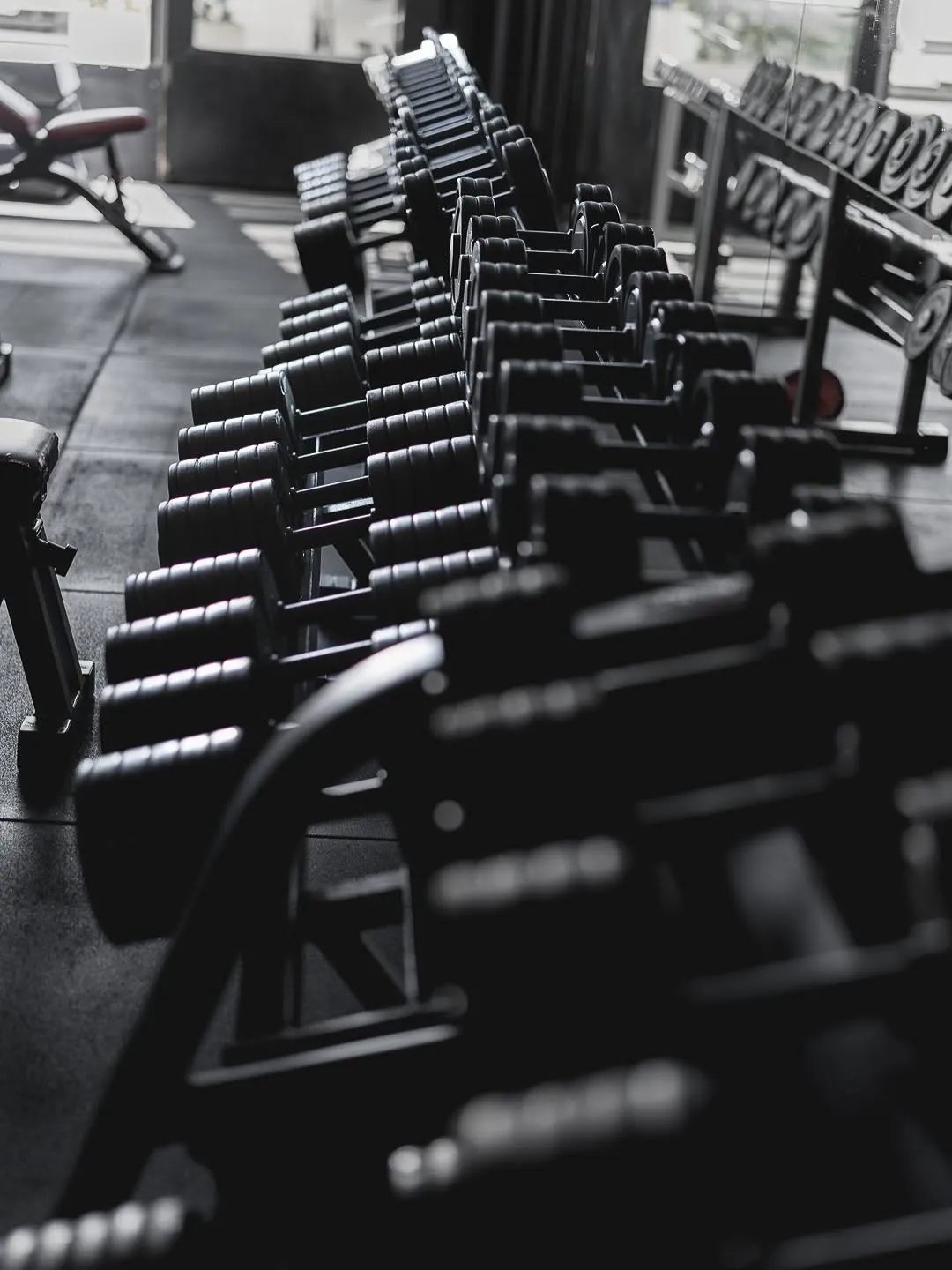 Empire Fit — zona pesi liberi